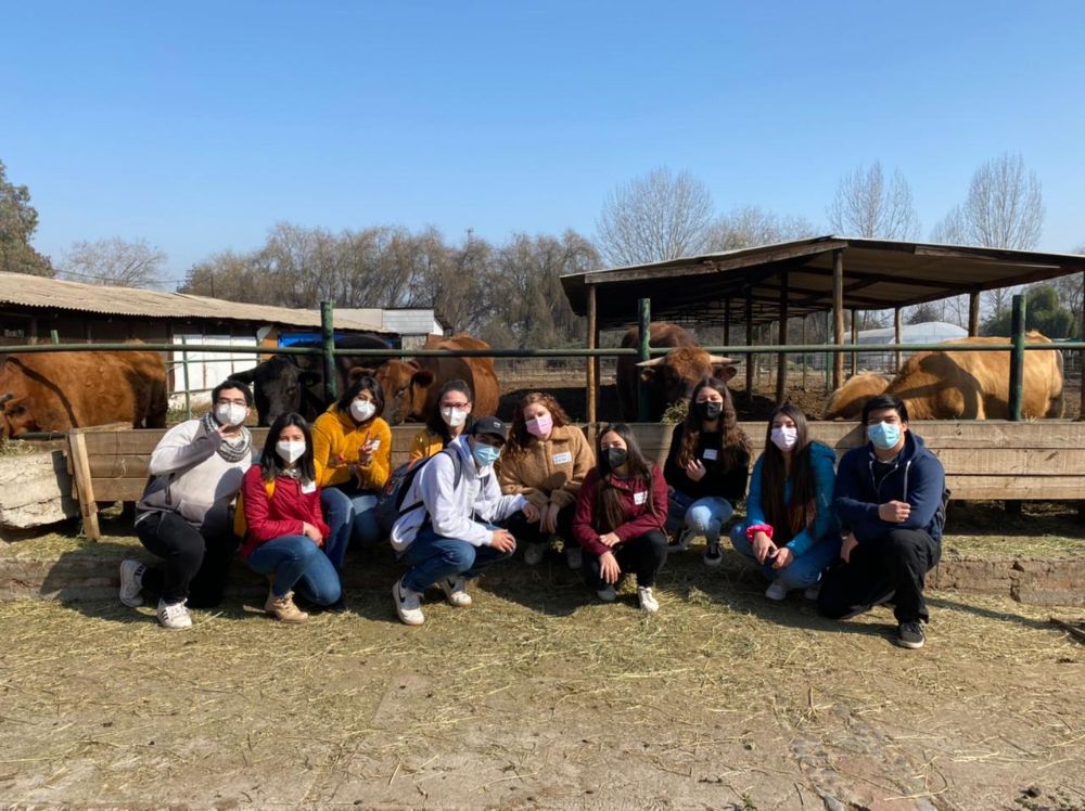 Encuentros presenciales organizados por Favet tuvieron como objetivo que los estudiantes de primer y segundo año conocieran las dependencias y pudieran interactuar con sus compañeros.