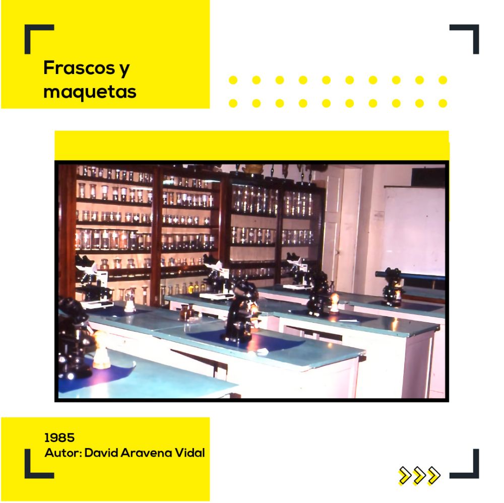 Fotografías tomadas por el profio David Aravena forman parte de esta exposición.