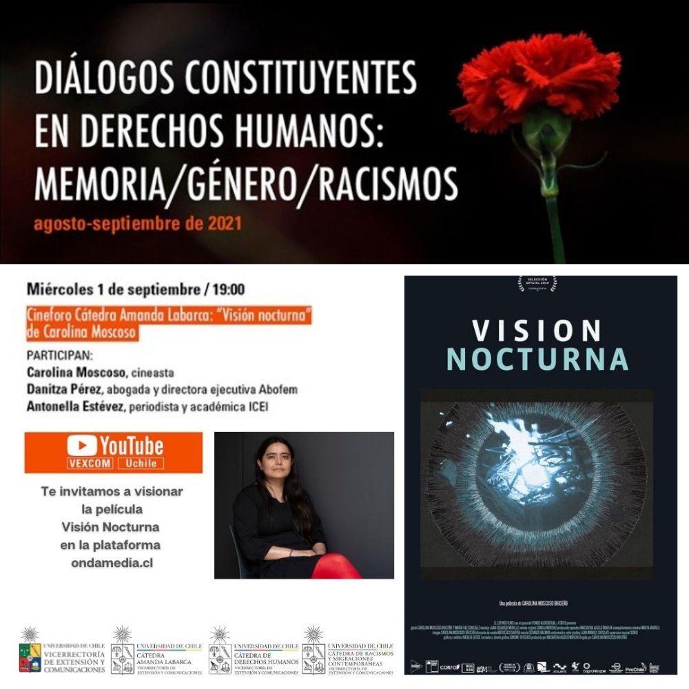 cine foro Cátedra Amanda Labarca
