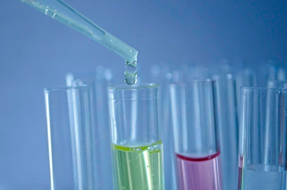 ANID dio a conocer la adjudicación de tres convocatorias dirigidas a fortalecer el sistema de Centros de Excelencia de nuestro país.