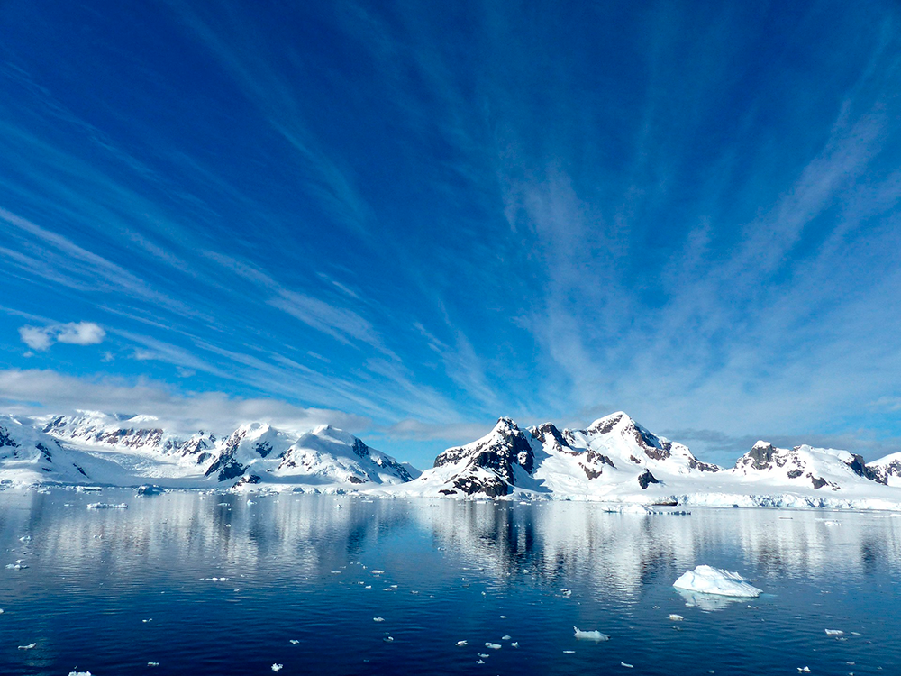 La Casa de Bello tiene participación en la totalidad de los proyectos con recomendación de adjudicación 2021.