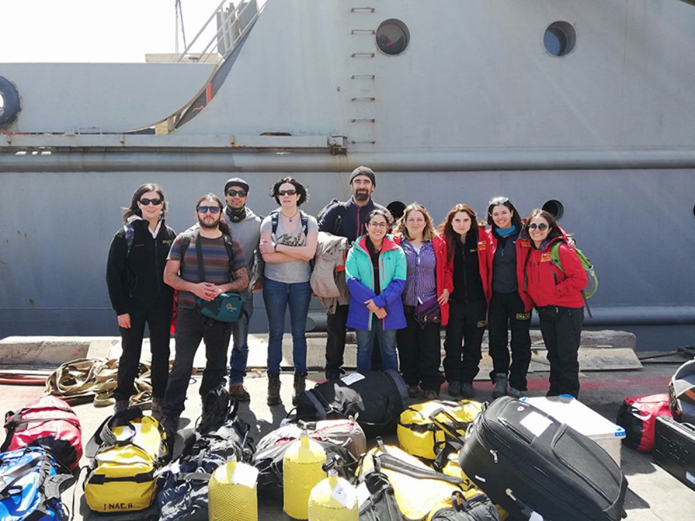 La adjudicación de financiamiento a este nuevo centro de excelencia consolida un trabajo de décadas, y que en los últimos años se fortaleció con el proyecto Anillo Genomics Antarctic Biodiversity.