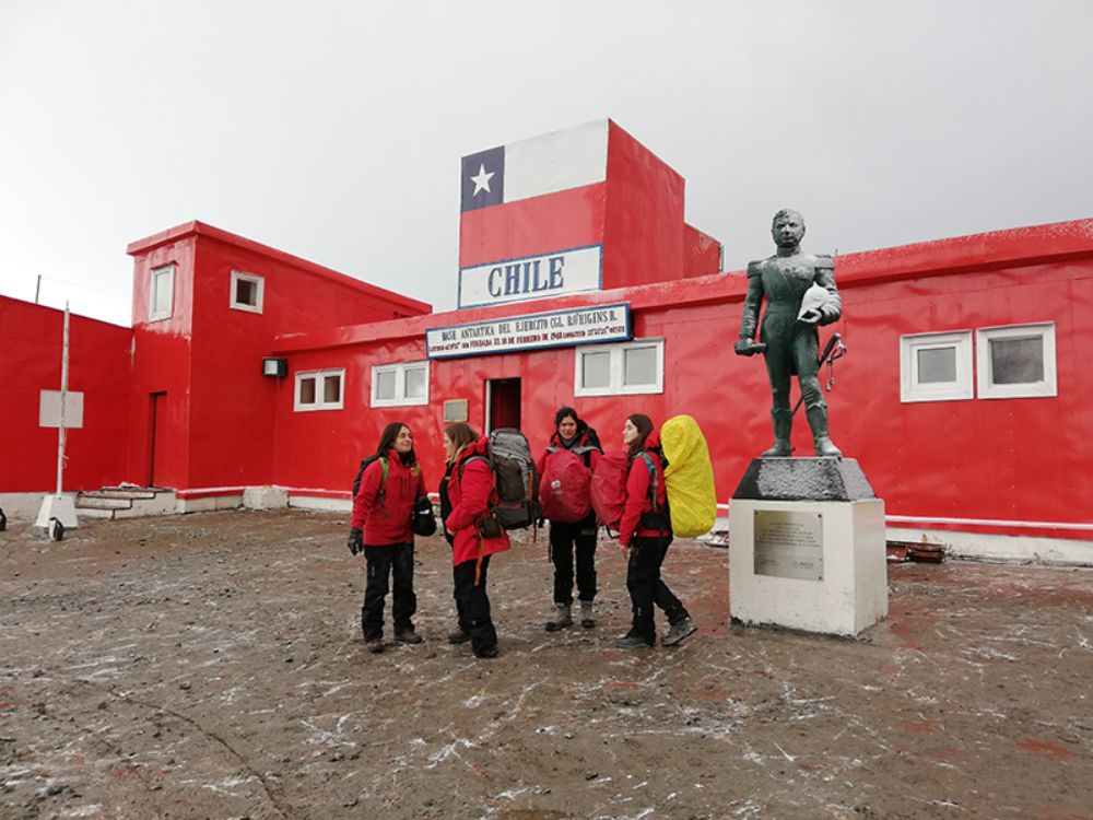 "Chile va a tener un liderazgo importante por la inversión que está realizando en este tema y la preocupación global que representa", agrega la directora alterna del nuevo Instituto.