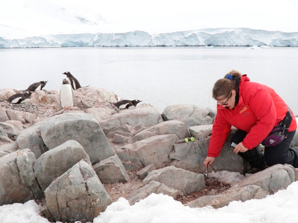 Además proyectarán qué va a pasar con las especies antárticas, "cuáles van a sufrir extinción, cuáles van a reducir su distribución, cuáles se van a expandir, y cuándo van a llegar especies exóticas".