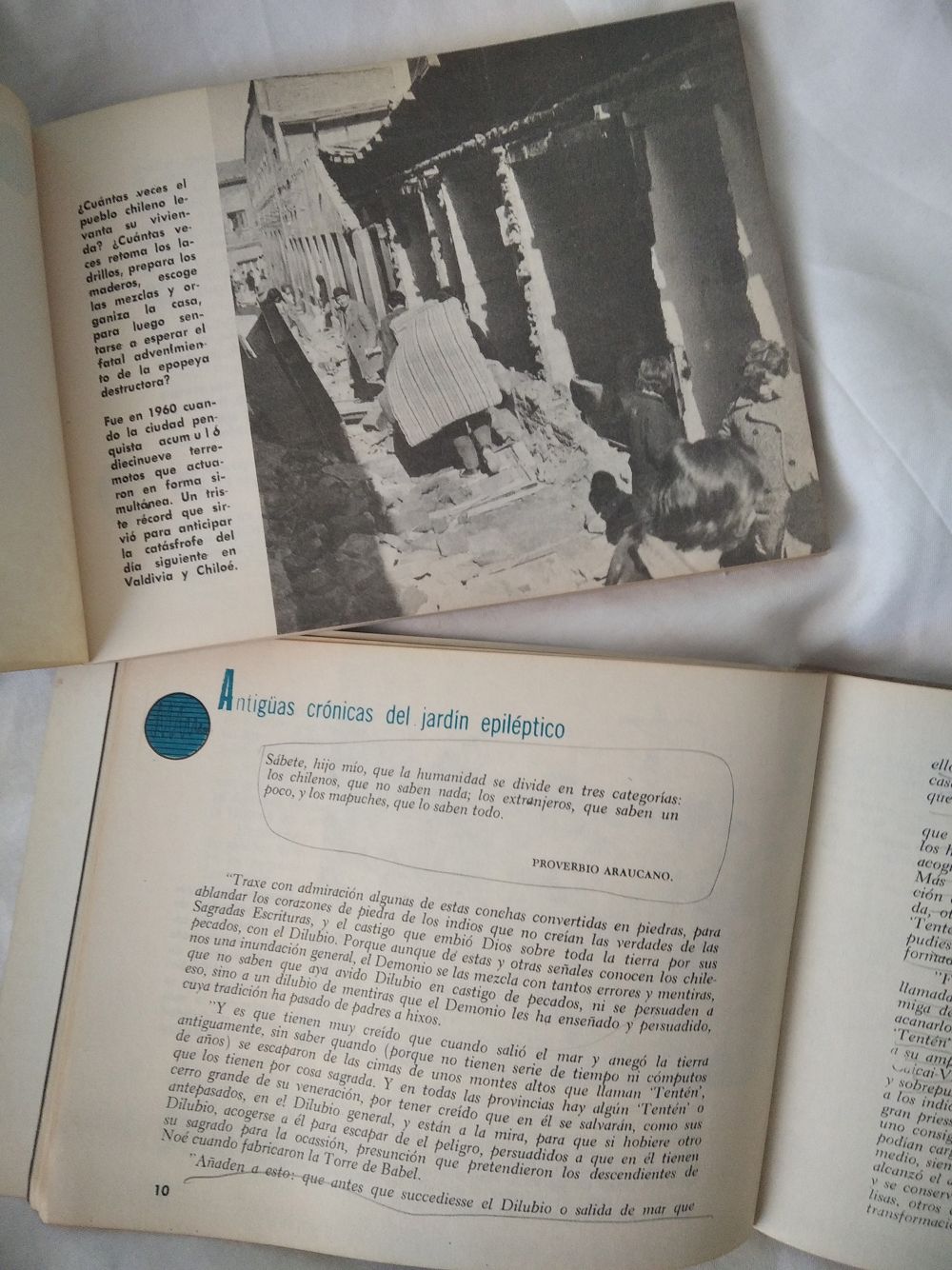"En ambos libros se intenta incorporar -sin saberlo- un enfoque resiliente, en el que los esfuerzos se focalizan en educar a través de la lectura", agrega la académica de la U. de Chile.
