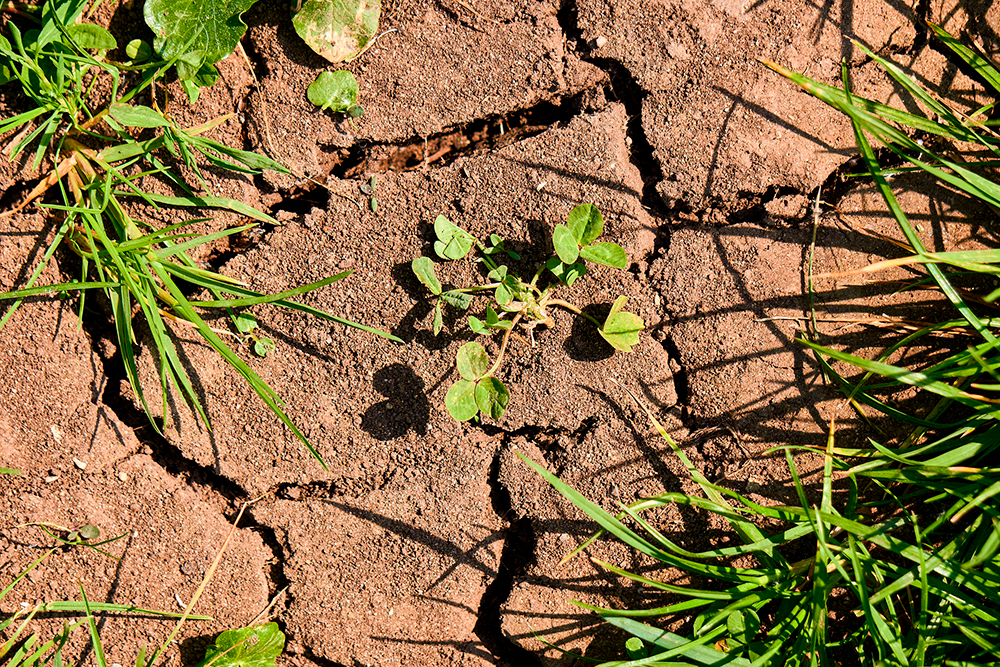 En el marco de la COP26, se destaca que Chile no es un gran emisor de GEI, pero será uno de los países más afectados por el cambio climático.