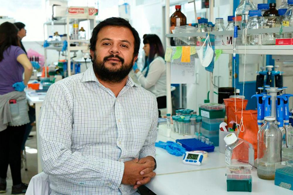 "Aún no hay estudios epidemiológicos para saber si es más transmisible o causa una enfermedad más grave", advierte el investigador Fernando Valiente.