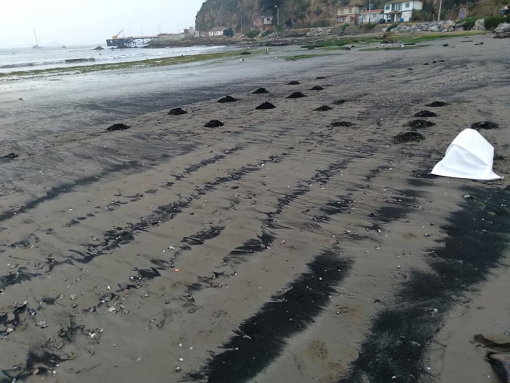  Varamientos de carbón 2021- Fotografía de "Mujeres de Zona de Sacrificio Quintero - Puchuncaví en Resistencia"