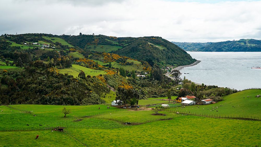 La comuna elegida para desarrollar el proyecto piloto fue Curaco de Vélez, una localidad ubicada en Chiloé.