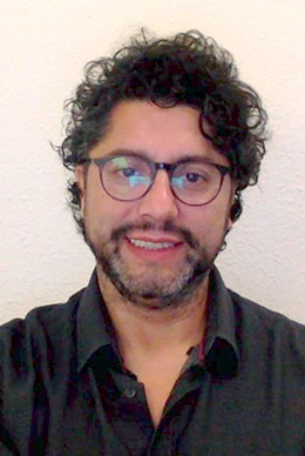 El director del CESC, Claudio González, remarcó la necesidad de tomar este problema no desde la seguridad pública, sino como un problema de política criminal.