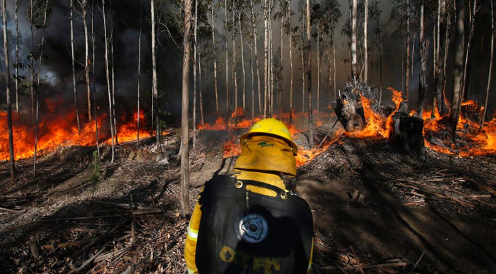 La innovación tiene como objetivo principal brindar información vital para la toma de decisiones que permitan evitar y contener la propagación del fuego en el territorio de manera eficiente.