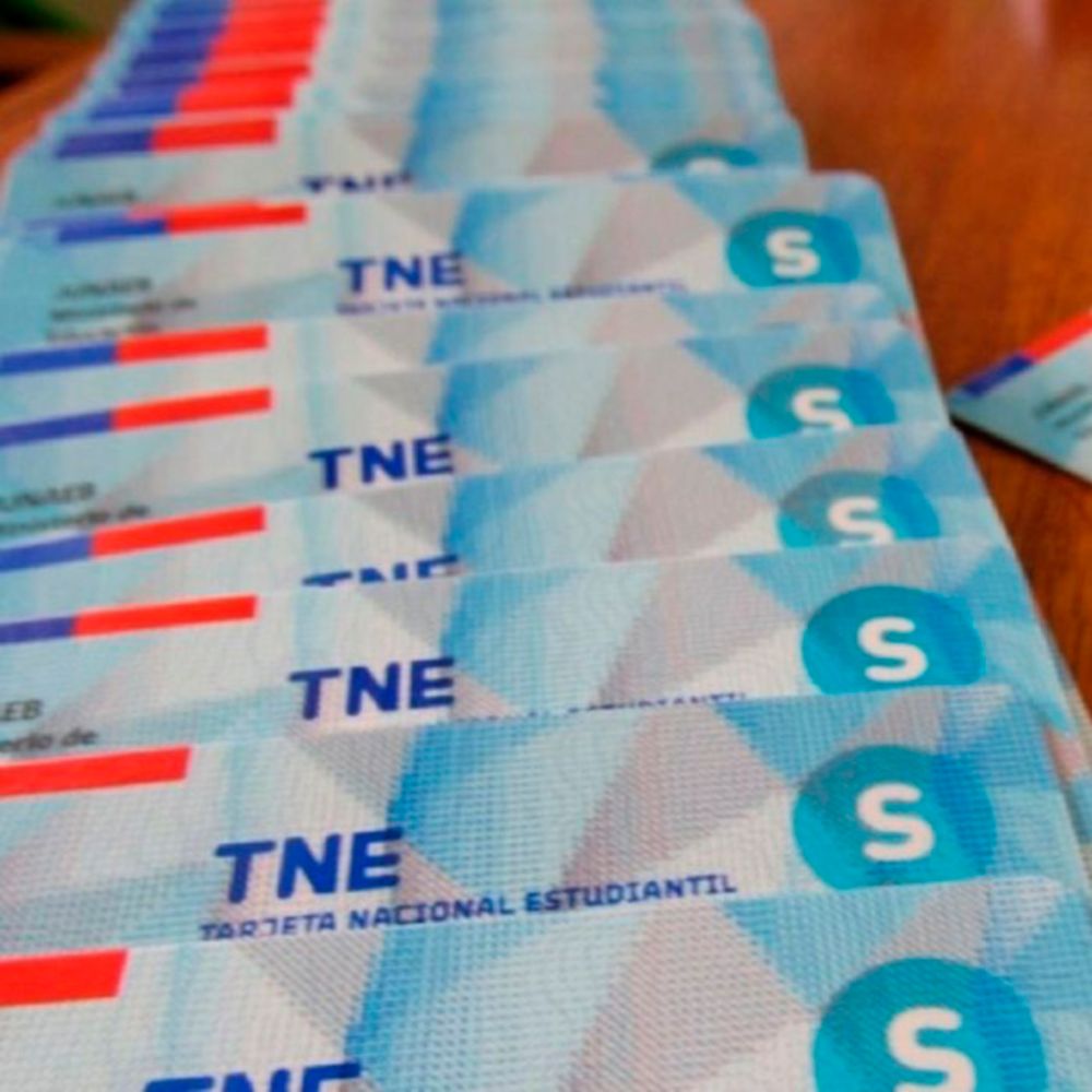 La fotografía para la Tarjeta Nacional Estudiantil (TNE) y la Tarjeta Universitaria Inteligente (TUI) podrá ser tomada completamente en línea.