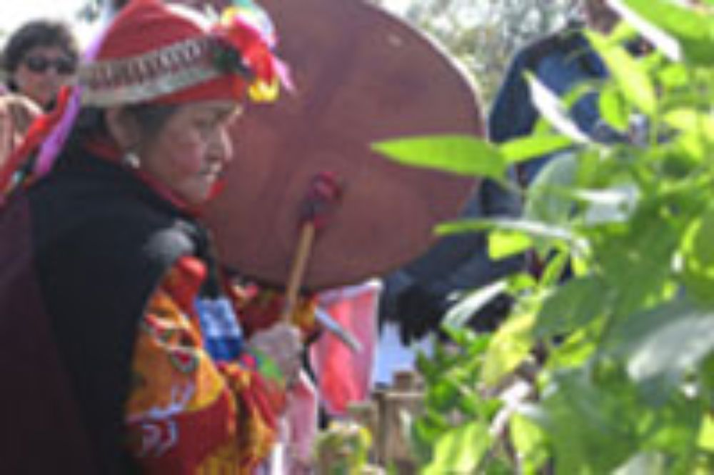 Otra de las actividades destacadas -y que coordina directamente la FAVET a través de Mundo Granja- se da a través del Convenio de Colaboración que tiene con la Asociación Indígena Taiñ Adkimn.