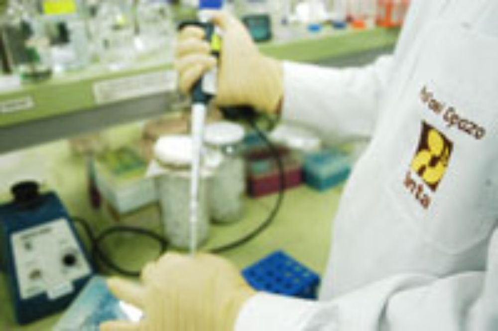 La excelencia de estas unidades atraviesa todos sus campos de acción: docencia, investigación y extensión.