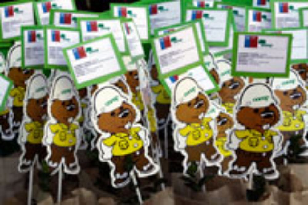 Se plantaran especies en los Campus Juan Gómez Millas, Andrés Bello, Beauchef, Norte y Sur.