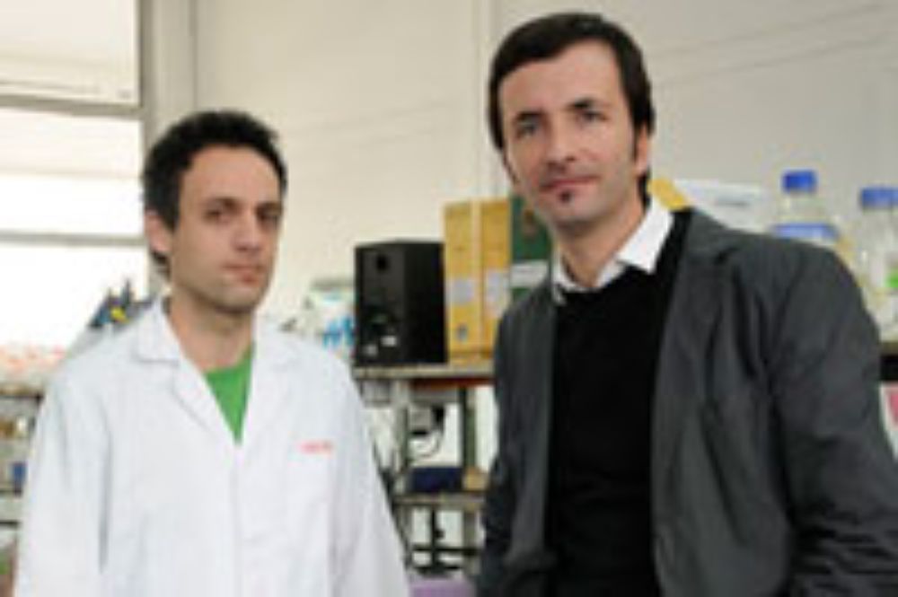 El estudio recibió este inédito grant consistente en US$25.000, a modo de premio por parte de la Fundación Christopher and Dana Reeve