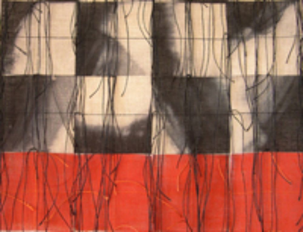 Detalle de "Damero en azul y rojo", propuesta de Paola Moreno.