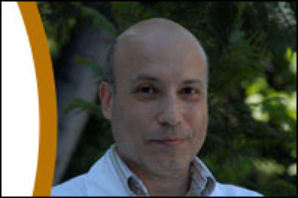 Profesor Sandro Bustamante