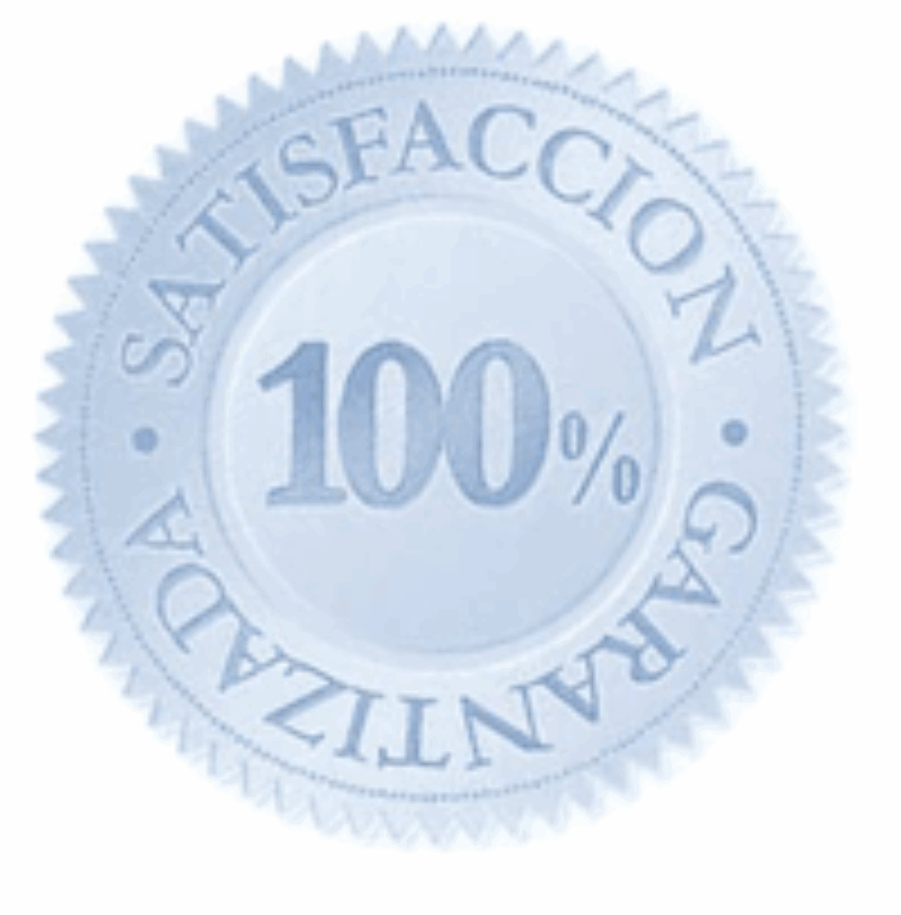 100 satisfaccion