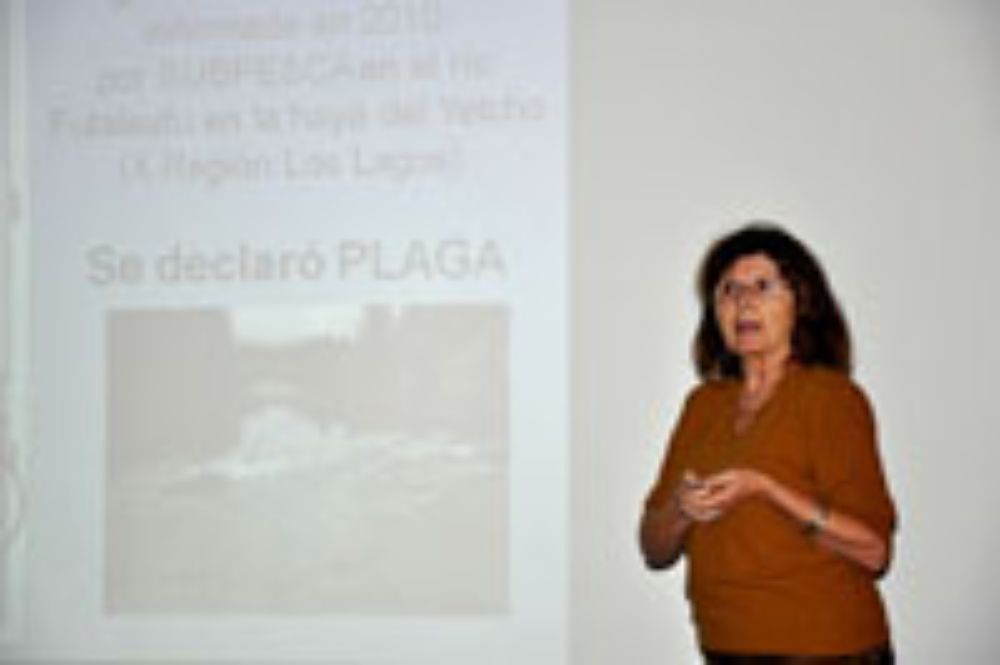 Prof. Vivian Montecino Banderet