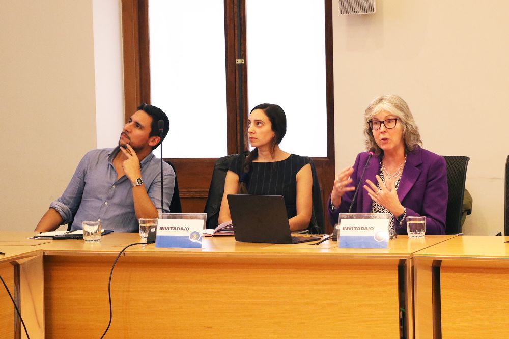 El estudio realizado por Dearden junto a sus co-investigadores/as chilenos/as, Héctor Ríos-Jara y Natalia Valdés, simuló los ingresos de los graduados, las tasas de reembolso del nuevo instrumento de Financiamiento Público y el flujo de ingresos del Estado, entre otras dimensiones. 