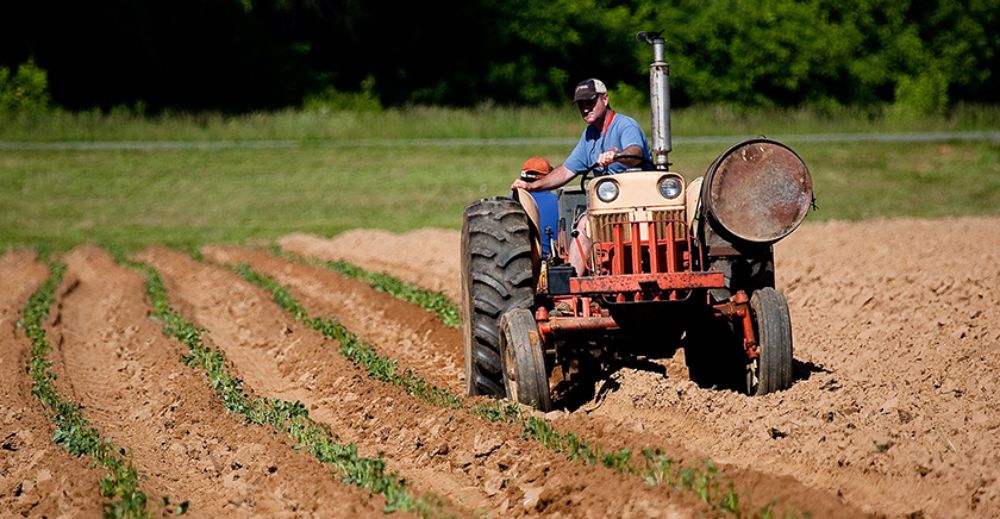 Un modelo económico basado en principios como la solidaridad, igualdad y justicia es el que se consagra en la propuesta de texto de nueva Constitución