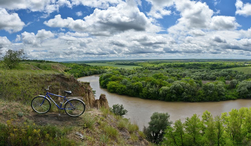 5 artículos definen el nuevo estatuto del agua propuesto en el texto de nueva Constitución, en el cual se definen una serie de mandatos al Estado para regular su uso y propiedad, con el fin de preservar y proteger este bien natural.