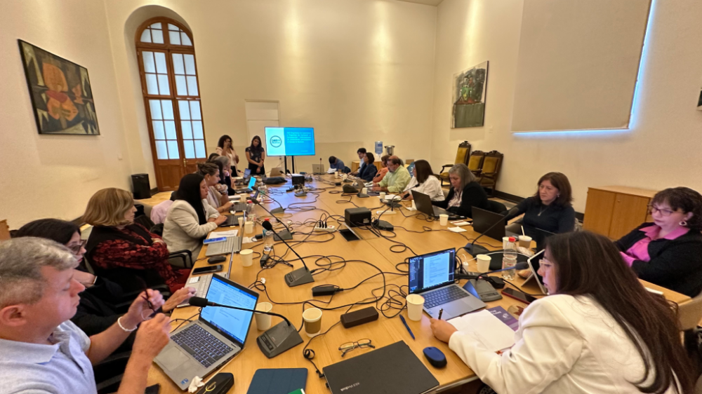 Representantes de bibliotecas del CRUCH se reunieron en la Universidad de Chile