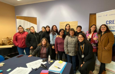 El equipo espera durante los próximos meses volver a la comuna de Navidad para realizar el segundo taller de Hierbas de Mar, en donde se entregarán algunos avances sobre la encuesta realizada.