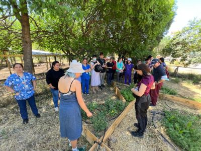 El proyecto de etapa avanzada "Faro Kvme Felen: salud, educación y agroecología intercultural mapuche" se adjudicó el Fondo el año 2021.