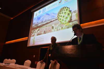 El IX International Congress on Cactus Pear and Cochineal se realizó entre los días 26 y 30 de marzo en la Región de Coquimbo.