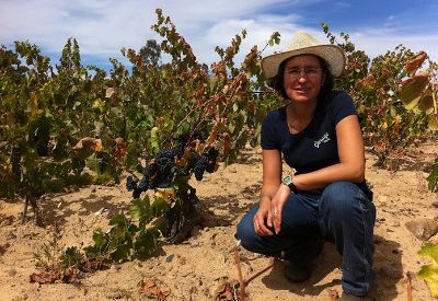 Pilar Miranda, del equipo del proyecto, es Ingeniera Agrónoma y Enóloga de la Universidad de Chile.