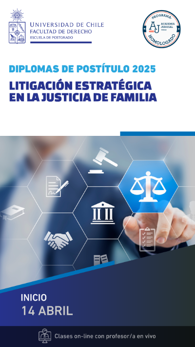 Litigación Estratégica en la Justicia de Familia