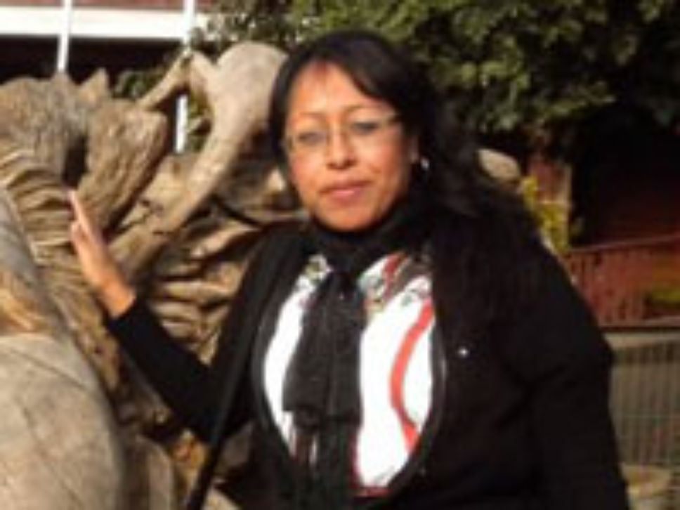 Para Ofelia Chirix, las demandas y reivindicaciones del pueblo Mapuche se inscriben dentro del movimiento indígena de Latinoamérica.