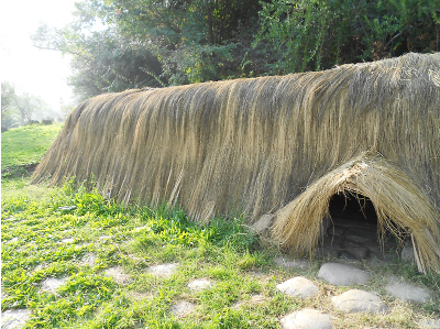 La Hare Paenga, conocida también como "casa bote", era la vivienda tradicional de Isla de Pascua, cuyo nombre significa "casa de una familia extensa".