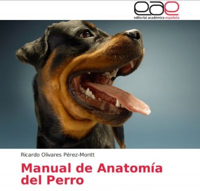 Este manual está dirigido a alumnos de pregrado de Medicina Veterinaria y a profesionales que buscan actualizarse sobre la materia.