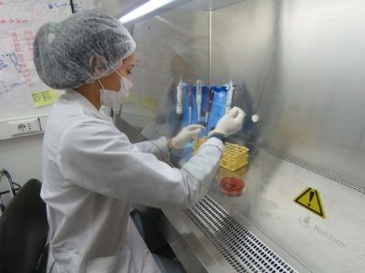 Los Laboratorios han sido una instancia significativa para la salud pública, así como para la formación de médicos veterinarios en una área clave de la carrera..