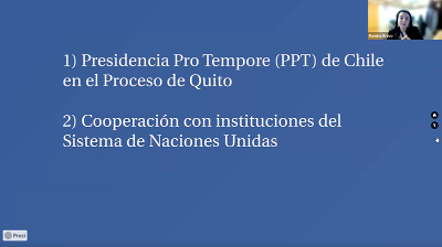 Romina Bravo abordó el tema desde el punto de vista y trabajo que realiza la Dirección General de Asuntos Consulares de Chile.