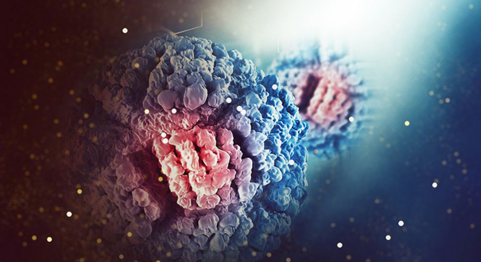 El universo de la microbiota intestinal: un pilar esencial para múltiples aspectos de la salud humana