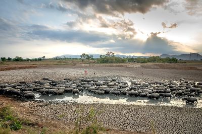 A través de 5 ejes, el documento busca llevar la atención de las autoridades a la emergencia climática mundial que advierte de un aumento progresivo de la temperatura del planeta en casi 1°C.