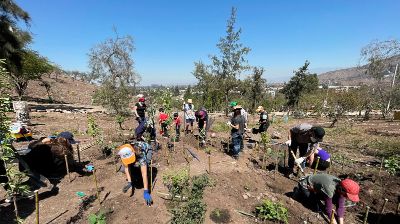 Emprendedores U. de Chile desarrollan bosques comestibles para combatir cambio climático