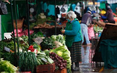 Las comunas de menores ingresos tienen índices más altos de obesidad que las comunas de mayores ingresos; por otro lado, las comunas rurales tienen mayores tasas de obesidad que las comunas urbanas.