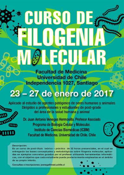 afiche curso de Filogenia Molecular