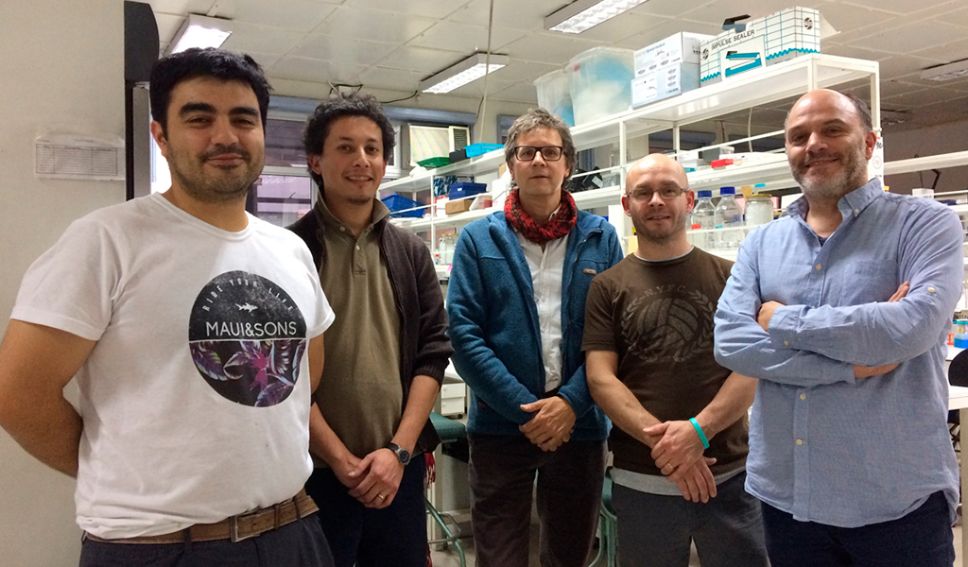Equipo del proyecto