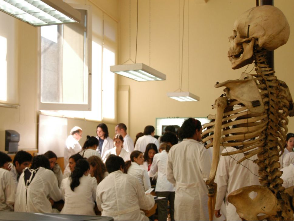 El objetivo del proyecto es ofrecer la oportunidad de conocer el acervo cultural del Museo de Anatomía a los estudiantes del Programa Pace