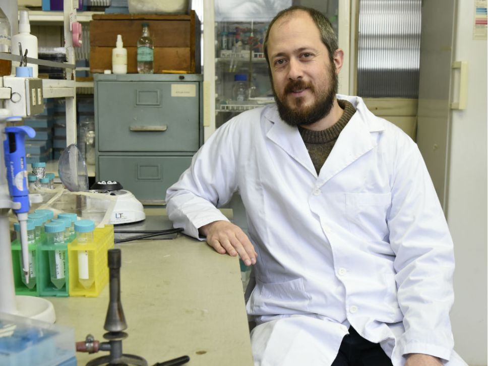 Doctor Assaf Katz