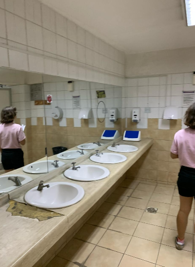 El estado del baño mixto, antes de ser remodelado.