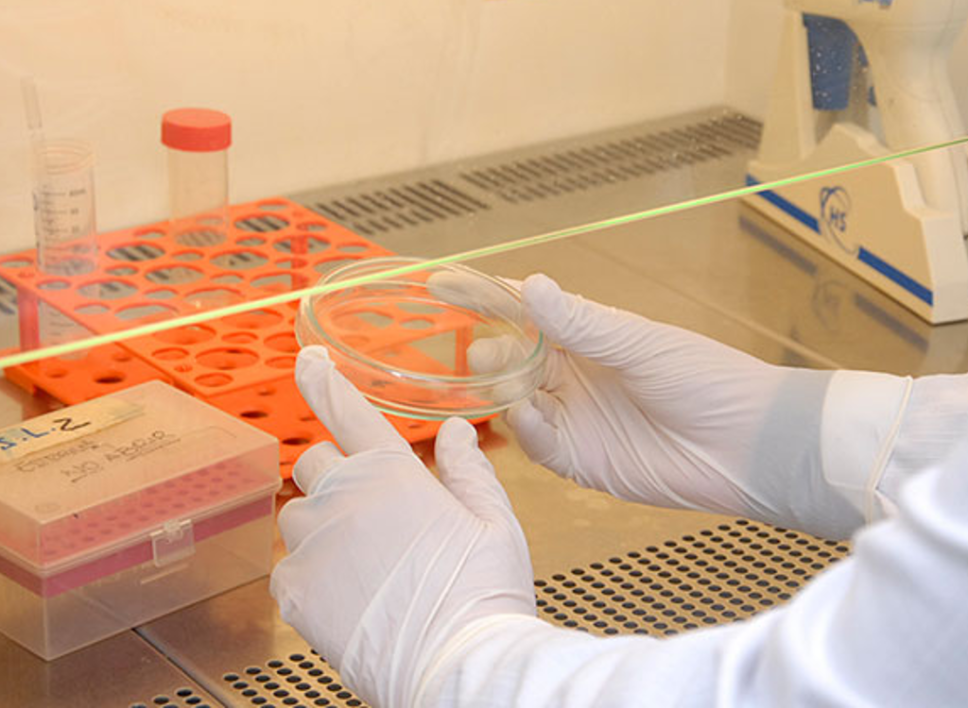 El Instituto de Ciencias Biomédicas cumple 25 años de historia mirando a su renovación