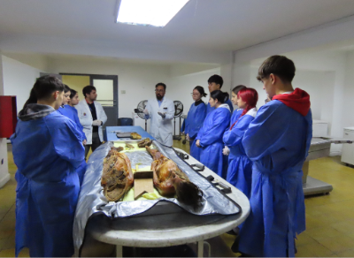 Los profesores Cristián Pérez y Juan Luis Silva explican a los estudiantes de Enfermería lo que sucede al instalar una sonda nasogástrica