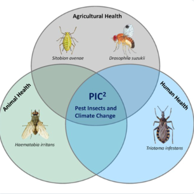 El proyecto estudiará especies de insectos con importancia en la industria alimenticia, como son el pulgón y la mosca de alas manchadas; en la transmisión de enfermedades a las personas, como es la vinchuca, y en la producción ganadera, como es la mosca de los cuernos, en diversas regiones de Chile. 